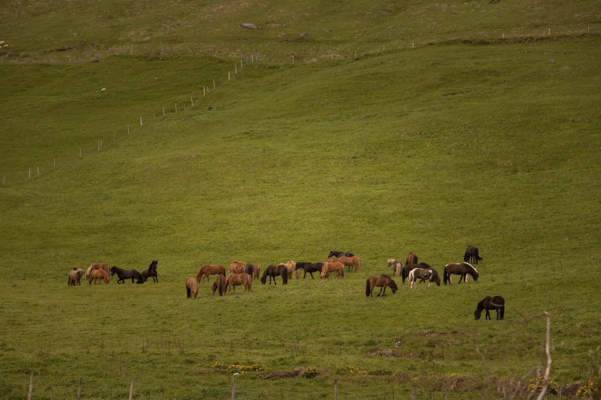 فندق كانتري أنا Holt  المظهر الخارجي الصورة
